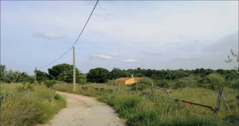 Terreno Urbanizable En venta en Comunidad Valenciana, Monserrat photo 0