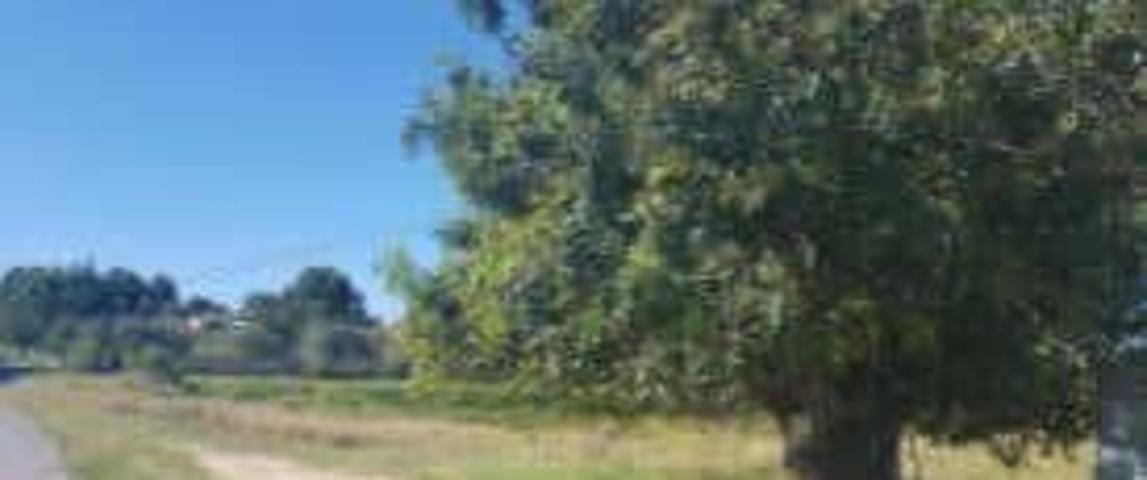 Terreno Urbanizable En venta en Colonia El Tossal, Monserrat photo 0