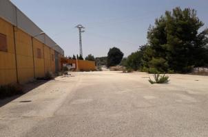 Terreno Urbanizable En venta en Comunidad Valenciana, Canals photo 0