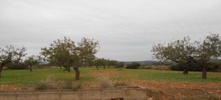 Terreno Urbanizable En venta en Costa Del Azahar, Alcala De Xivert photo 0