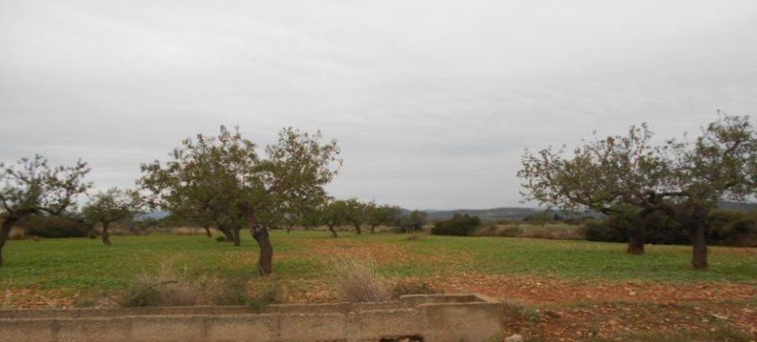 Terreno Urbanizable En venta en Costa Del Azahar, Alcala De Xivert photo 0