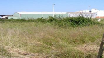 Terreno Urbanizable En venta en Moncófar Pueblo, Moncofar photo 0