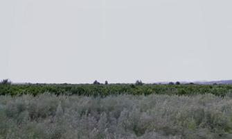Terreno Urbanizable En venta en El Marjal De Nules, Nules photo 0