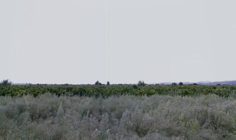Terreno Urbanizable En venta en El Marjal De Nules, Nules photo 0