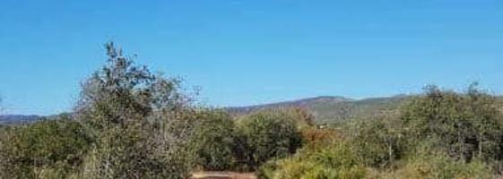 Terreno Urbanizable En venta en Samoedo, Benicolet photo 0