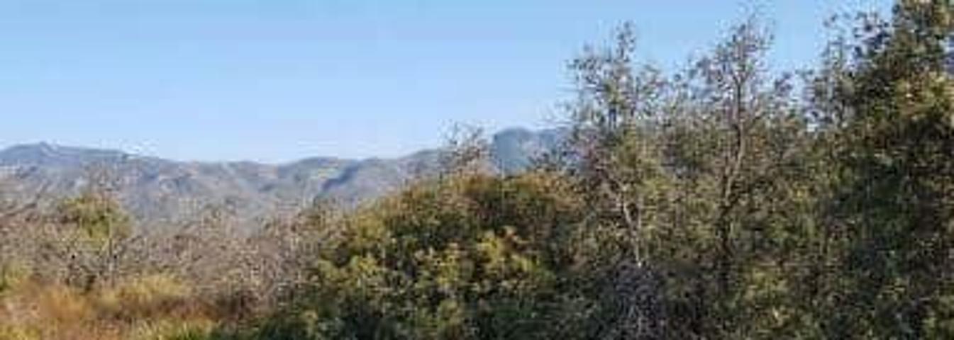 Terreno Urbanizable En venta en El Mollo, Benicolet photo 0