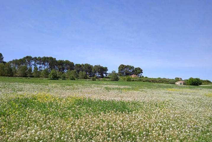 Terreno Urbanizable En venta en Comunidad Valenciana, Agullent photo 0