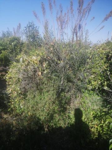 Terreno Urbanizable En venta en Oeste, Castellon - Castello De La Plana photo 0