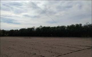 Terreno Urbanizable En venta en Mareny De Barraquetes, Sueca photo 0