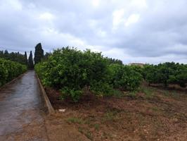 Terreno Urbanizable En venta en Zona Costa Norte, Vinaros photo 0