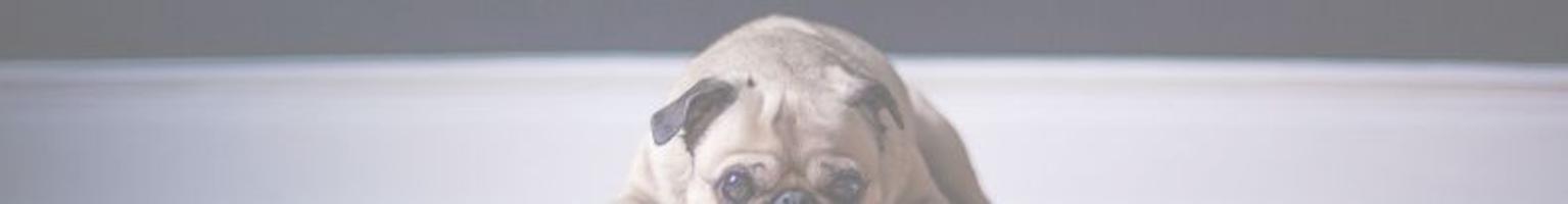 Parking En venta en Oliva Pueblo, Oliva photo 0