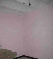 Unifamiliar En venta en Comunidad Valenciana, El Palomar photo 0