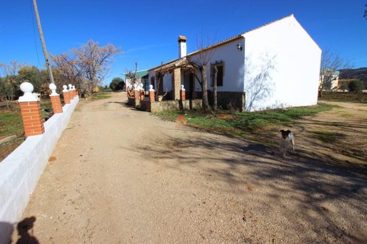 FINCA CON NAVE Y VIVIENDA MUY PRÓXIMA A RONDA photo 0