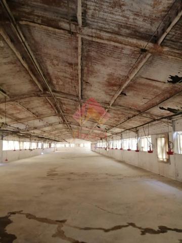 Nave Industrial En alquiler en Arriate, Arriate photo 0