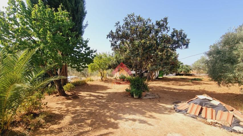 SE VENDE FINCA RÚSTICA EN EL LLANO DE LA CRUZ photo 0