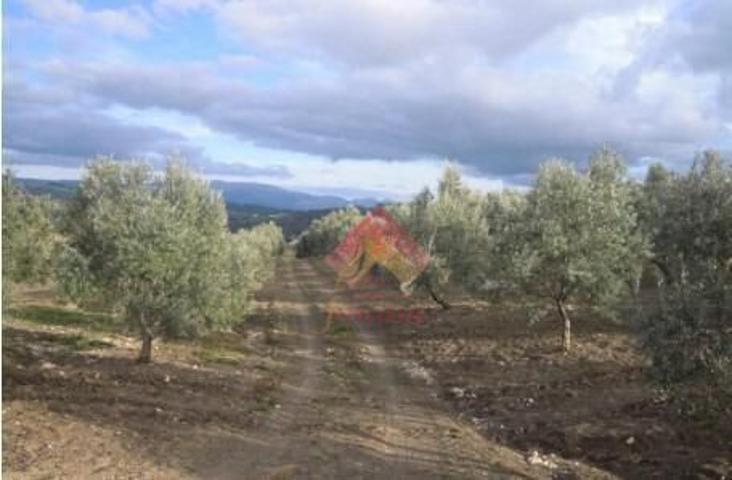 ¡¡REBAJADA DE PRECIO, ANTES 350.000€!! photo 0