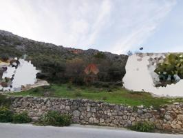 Terreno Urbanizable En venta en Benaoján, Benaojan photo 0
