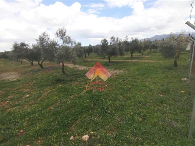 ¡¡REBAJADO DE PRECIO, ANTES 89.000€!! photo 0