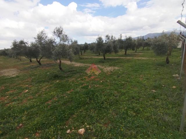 VENTA DE FINCA A 7 MINUTOS DE RONDA photo 0