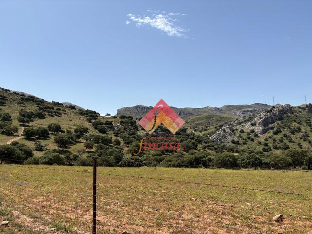 SE VENDE FINCA RÚSTICA POR LA ZONA DE LA CARRETERA DEL BURGO photo 0
