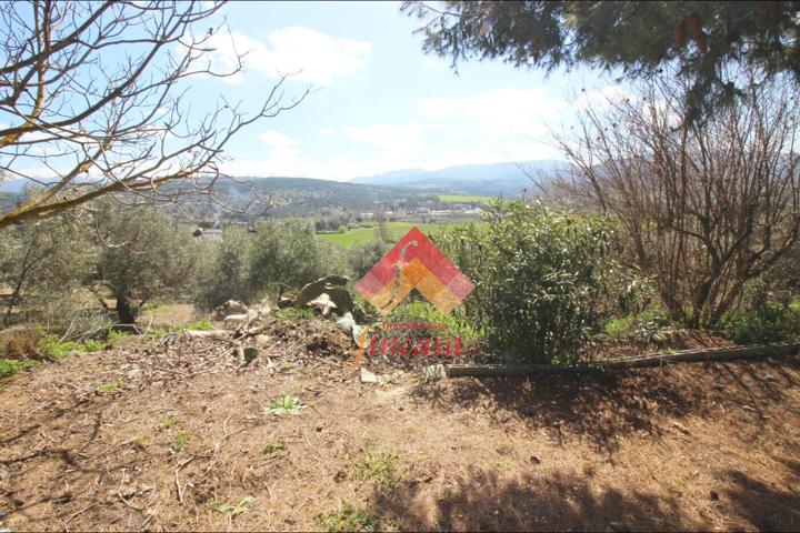 SE VENDE FINCA RÚSTICA EN RONDA LA VIEJA photo 0