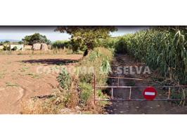 Encantadora finca de 5783m2 en Palafolls photo 0