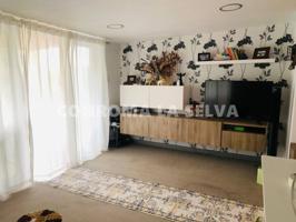 Venta de modulo en camping de Calella photo 0