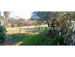 Venta de finca rústica en Malgrat de Mar photo 0