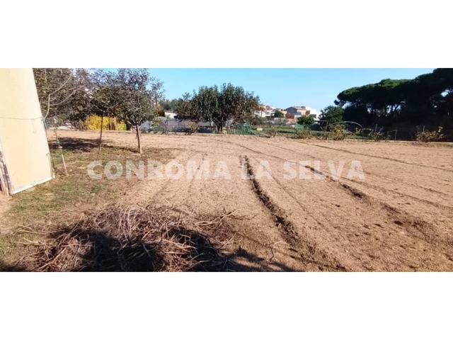 Venta de finca rústica en Malgrat de Mar photo 0