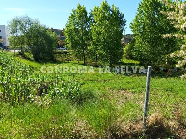 Terrenos en venta en Tordera photo 0