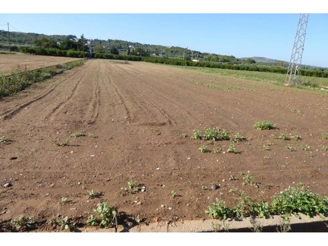 FINCA CON AGUA photo 0