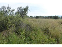 FINCA EN VENTA CON AGUA photo 0