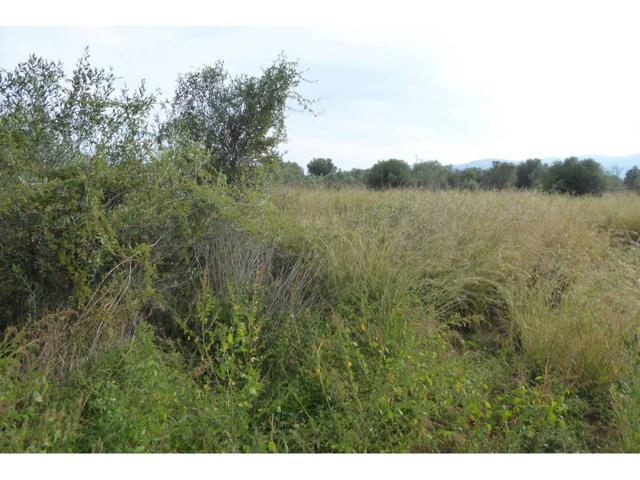 FINCA EN VENTA CON AGUA photo 0