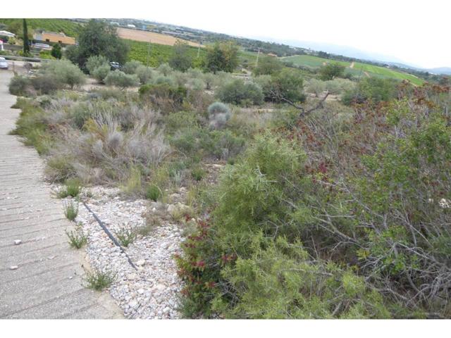 FINCA VALLADA photo 0