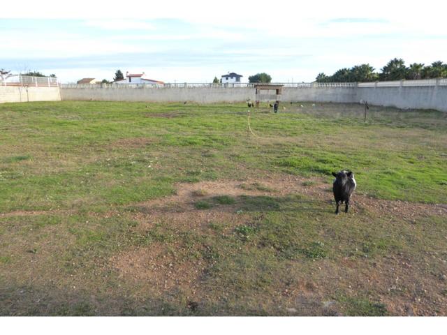 Terreno en venta en Poble de Benicarló photo 0