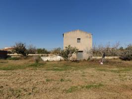FINCA DE REGADIO CON CASA photo 0