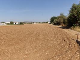 FINCA EN VENTA CON LUZ Y AGUA photo 0