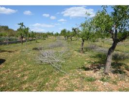 Terreno en venta en Alcalà de Xivert photo 0