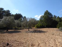 Terreno en venta en Alcalà de Xivert photo 0