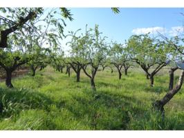Terreno en venta en Alcalà de Xivert photo 0