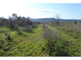 Terreno en venta en Alcalà de Xivert photo 0