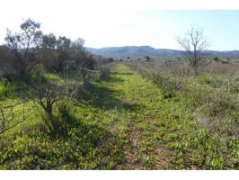 Terreno en venta en Alcalà de Xivert photo 0