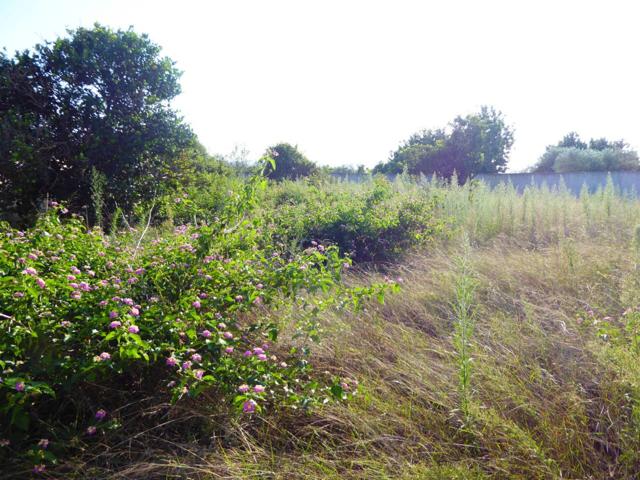 Finca rustica en venta en Poble de Benicarló photo 0