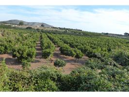 Finca rustica en venta en Poble de Benicarló photo 0