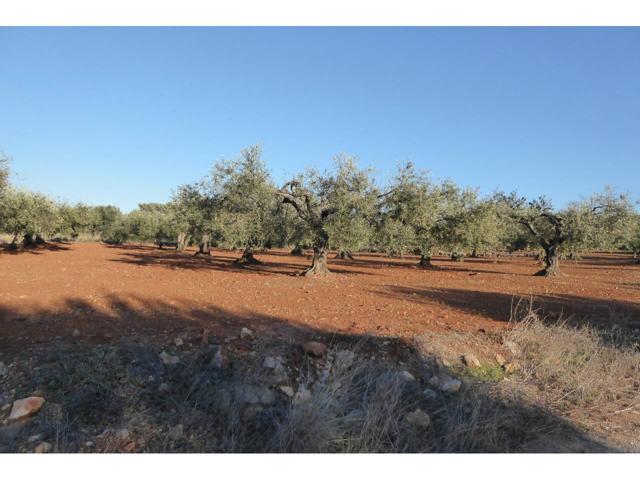 Finca rustica en venta en Centre-Casc Antic photo 0