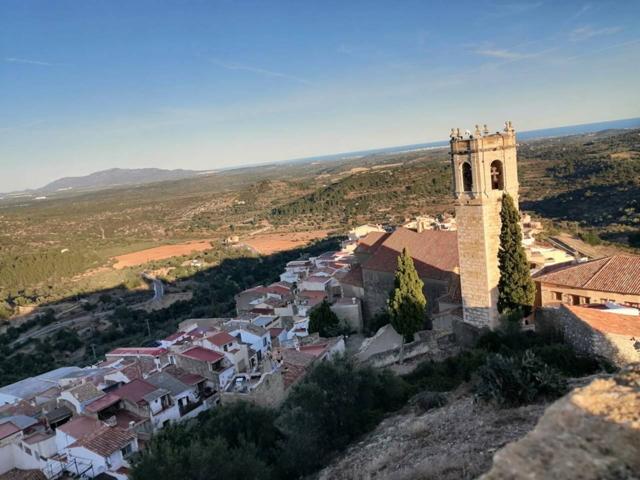 Finca en venta en Cervera del Maestre photo 0