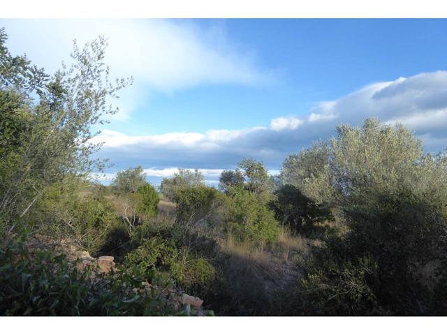 FINCA RUSTICA EN BENICARLO photo 0