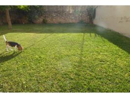 SOLAR EN BENICARLO photo 0
