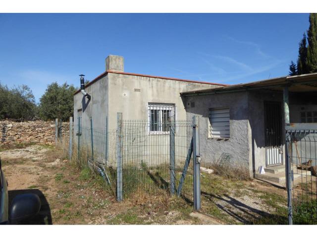 FINCA RUSTICA CON CASA EN BENICARLO photo 0