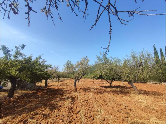 FINCA RUSTICA EN SANTA MAGDALENA DE PULPIS photo 0